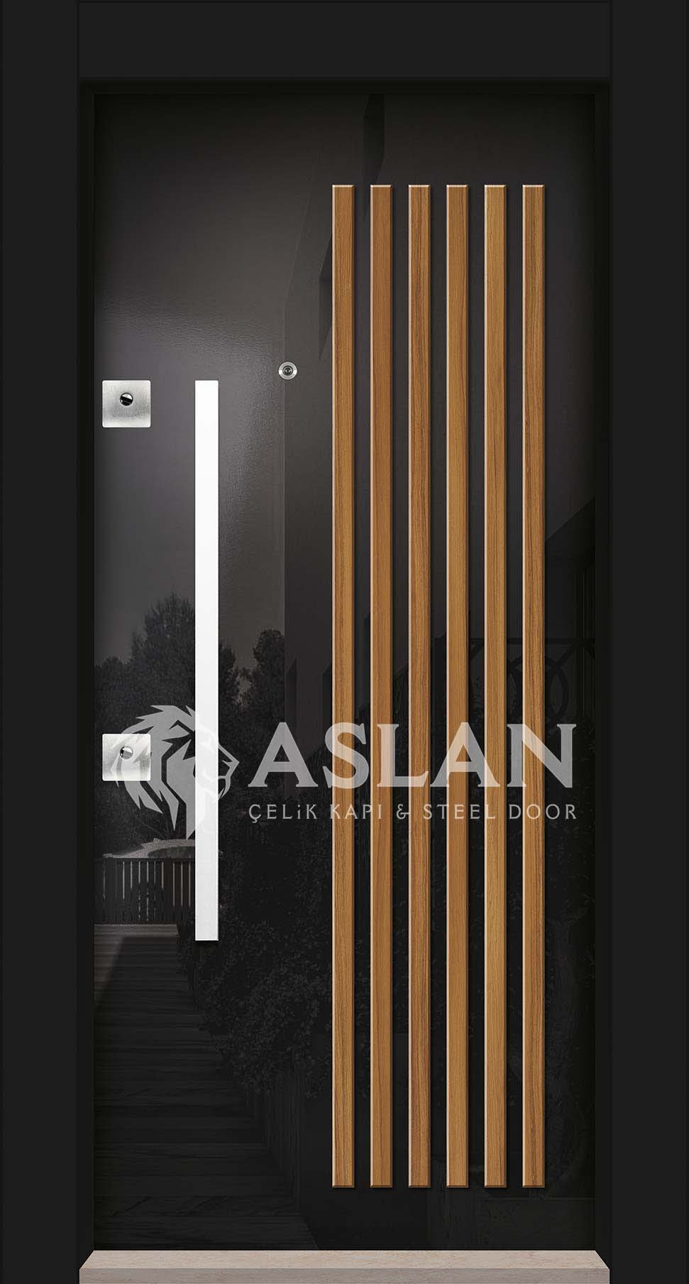 ASLAN DOOR  -  1006