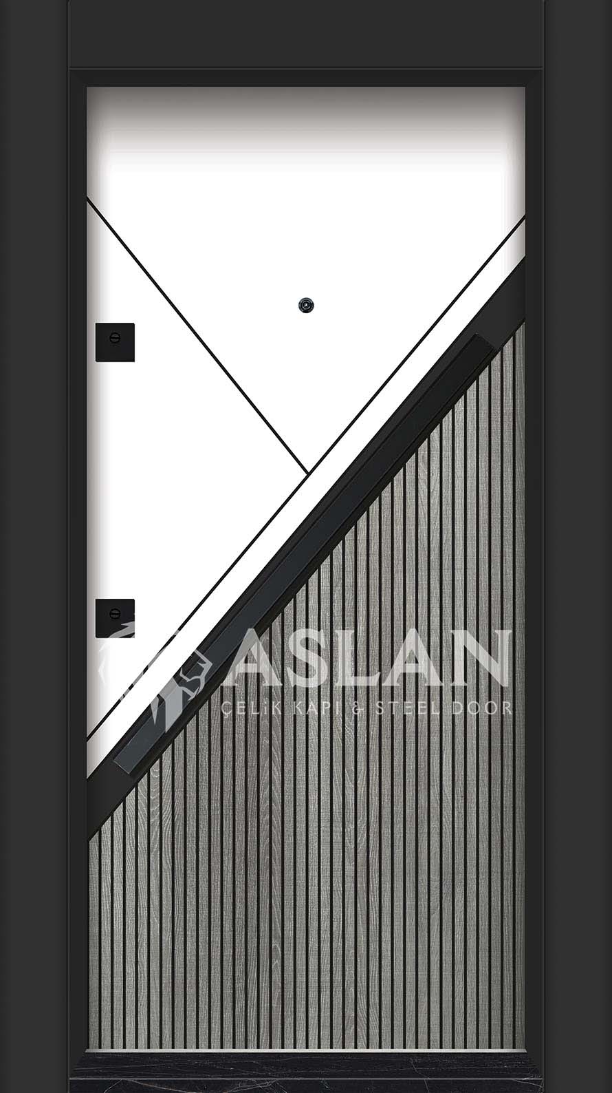 ASLAN DOOR  -  1009